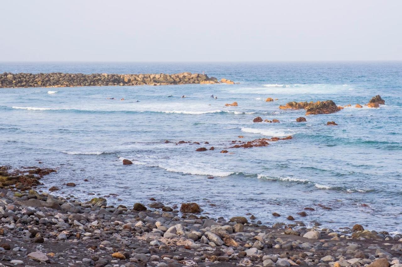 Live Puerto De La Cruz Las Palmeras Exteriér fotografie